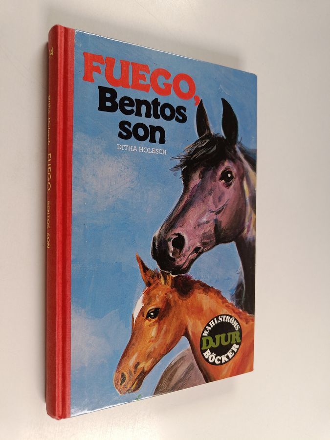 Ditha Holesch : Fuego, Bentos son