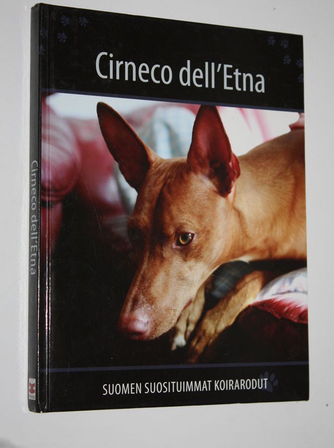 Cirneco dell'Etna