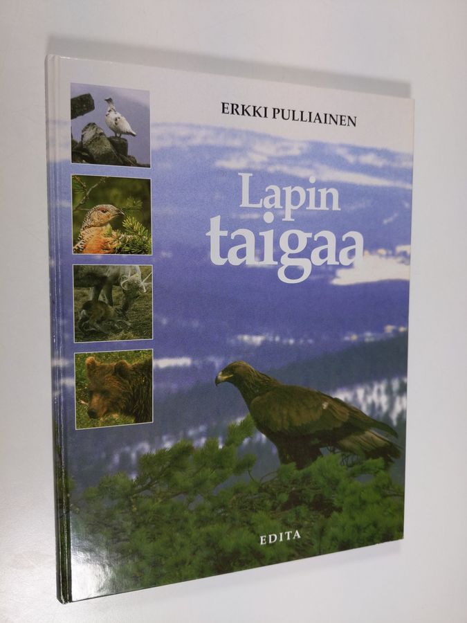 Lapin taigaa