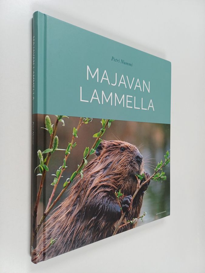 Petri Nummi : Majavan lammella