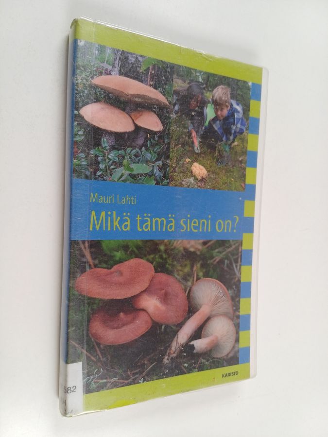 Mikä tämä sieni on?