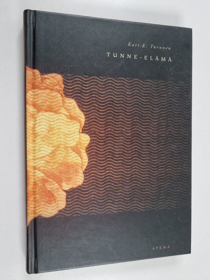 Tunne-elämä