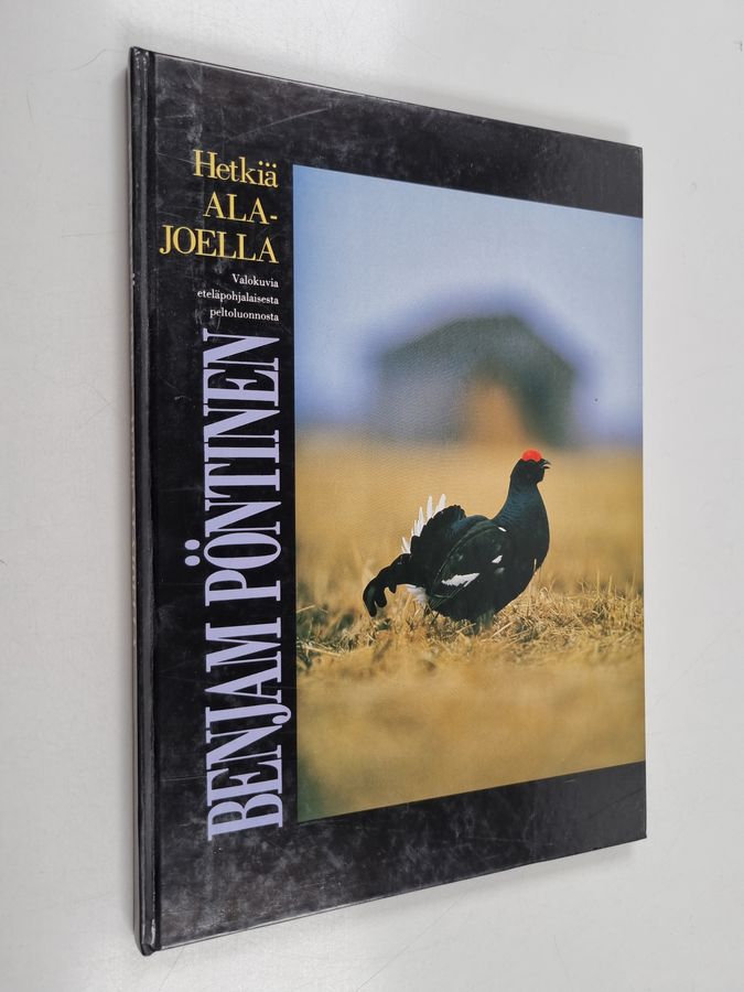 Hetkiä Alajoella