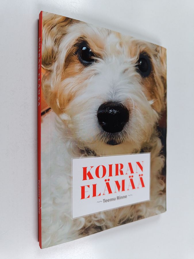 Teemu Rinne : Koiran elämää