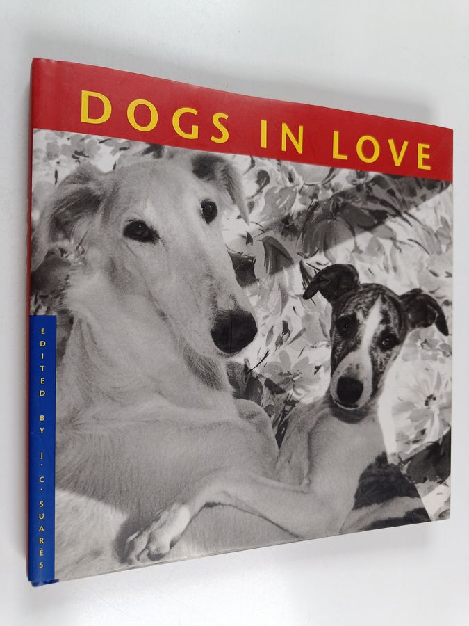 Dogs in Love