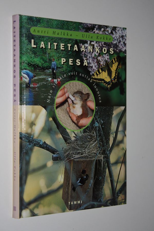 Laitetaankos pesä