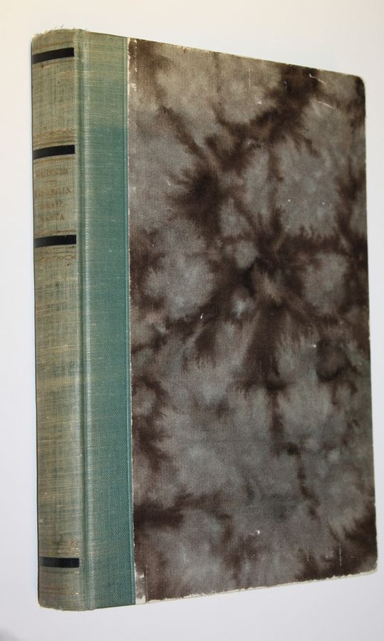 Andrea Majocchi : Kirurgin maailmasta