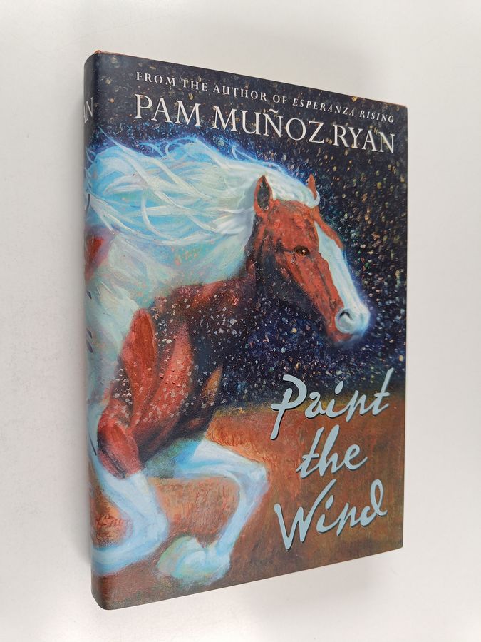 Paint the Wind