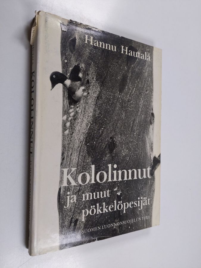 Kololinnut ja muut pökkelöpesijät