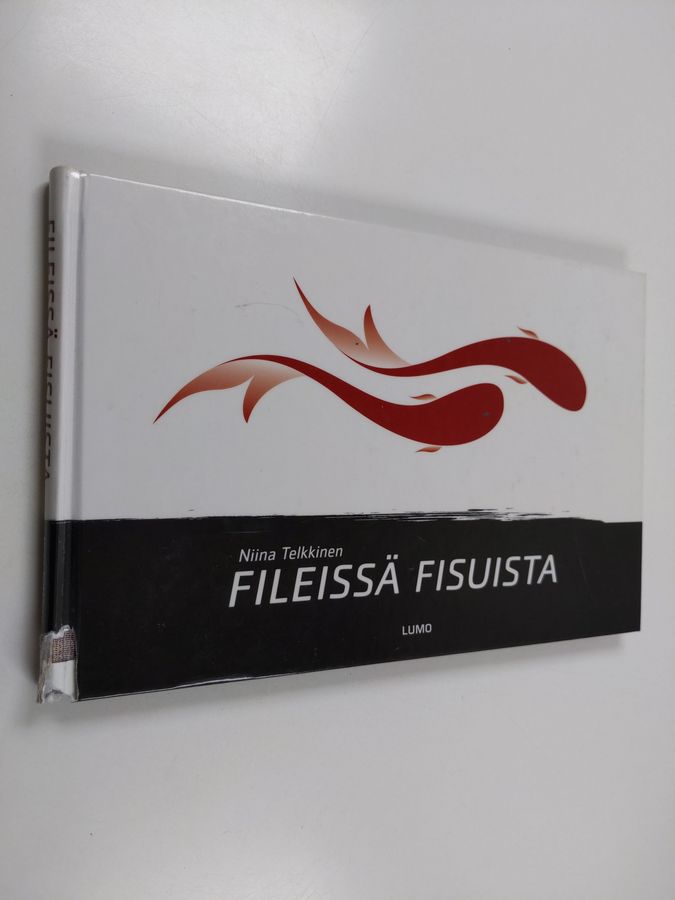 Fileissä fisuista