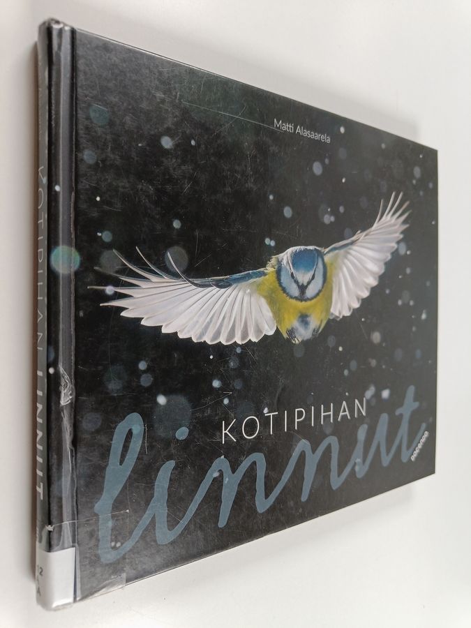 Kotipihan linnut
