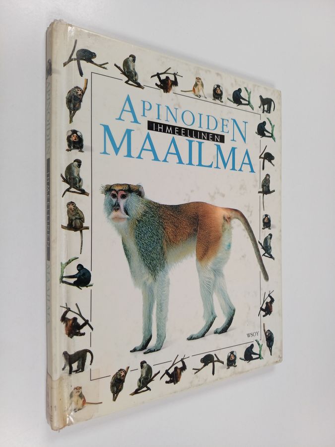 Apinoiden ihmeellinen maailma