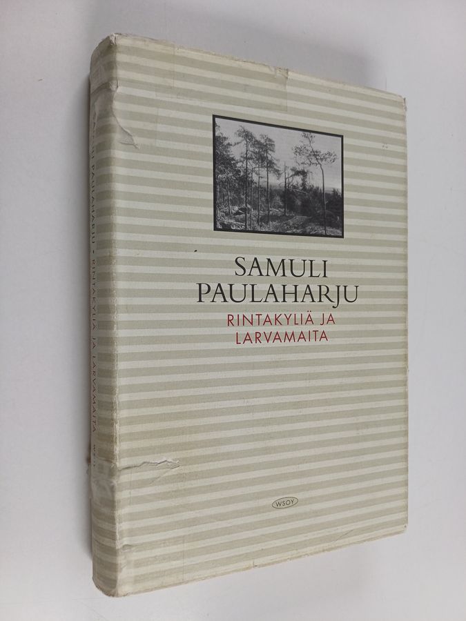 Rintakyliä ja larwamaita