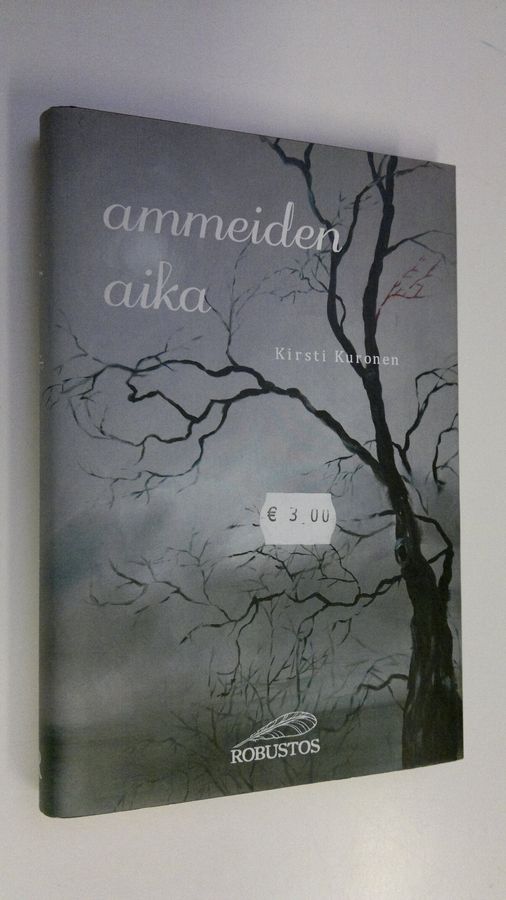 Ammeiden aika