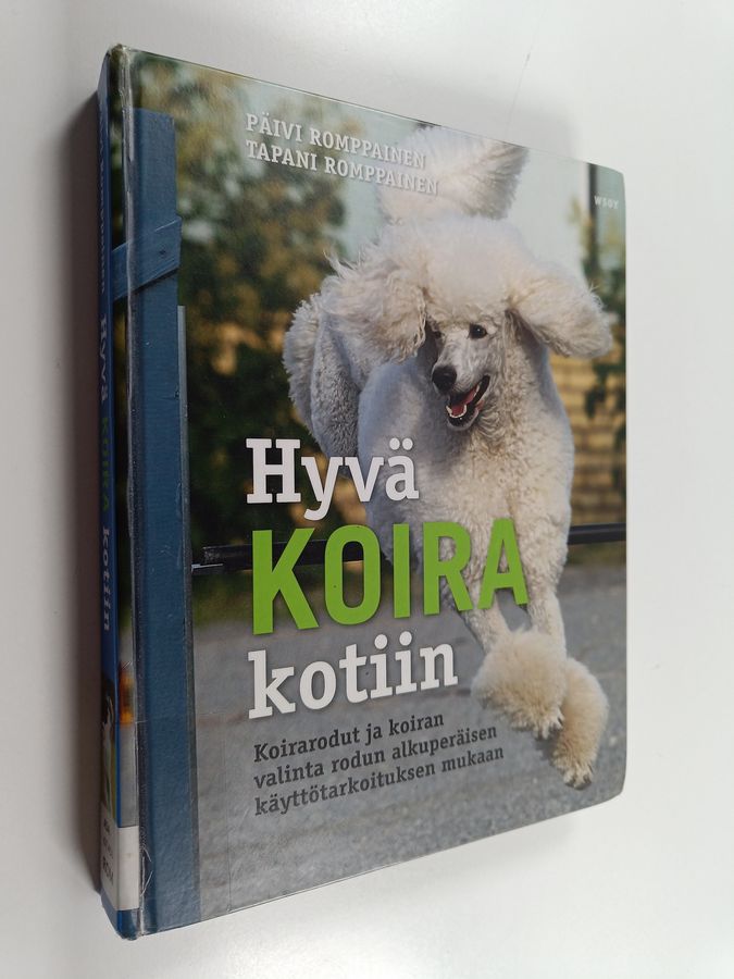 Hyvä koira kotiin