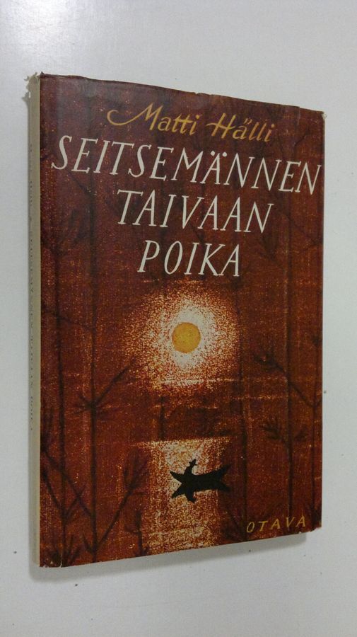 Matti Hälli : Seitsemännen taivaan poika : fantasioita