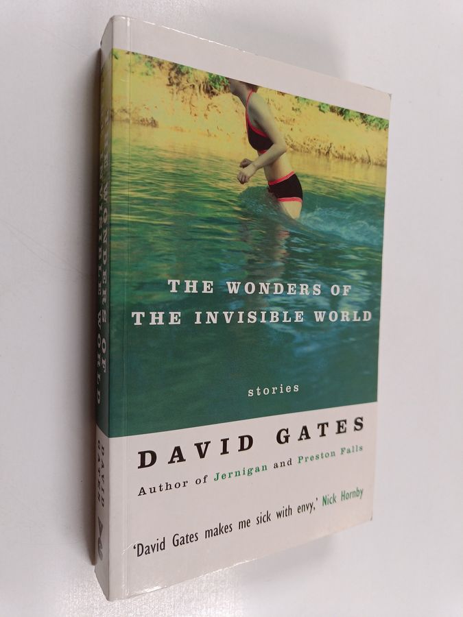 The Wonders of the Invisible World