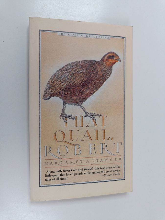 That Quail, Robert