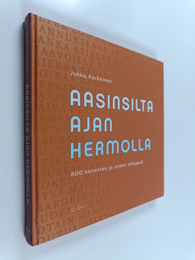 Aasinsilta ajan hermolla