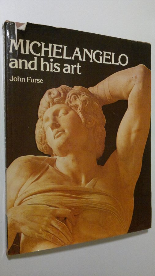 Michelangelo and his art