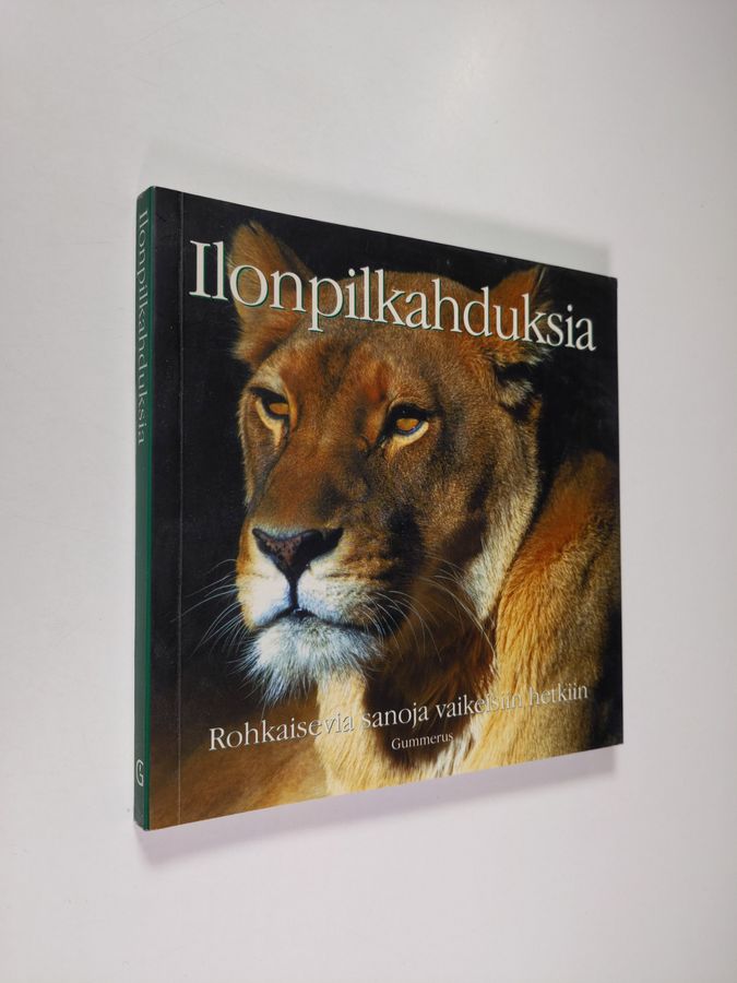 Ilonpilkahduksia
