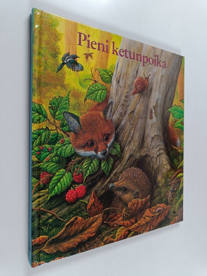 Pieni ketunpoika