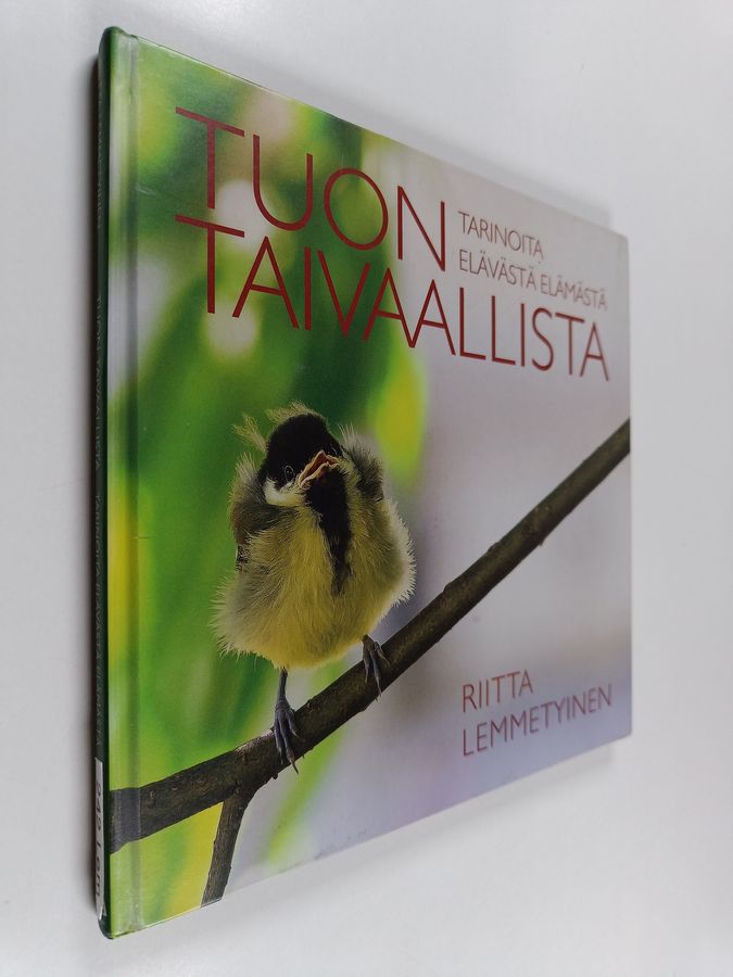 Riitta Lemmetyinen : Tuon taivaallista : tarinoita elävästä elämästä