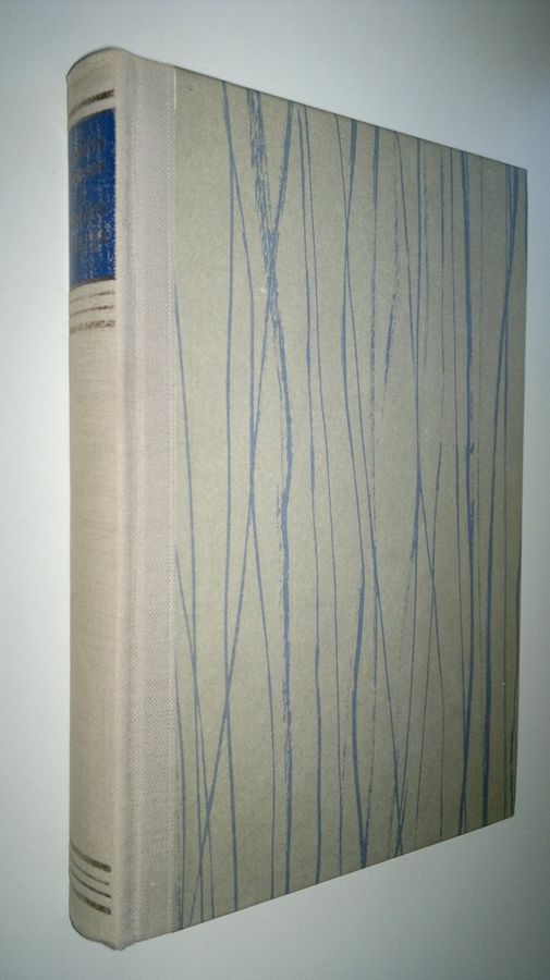 Martin A. Hansen : Valehtelija