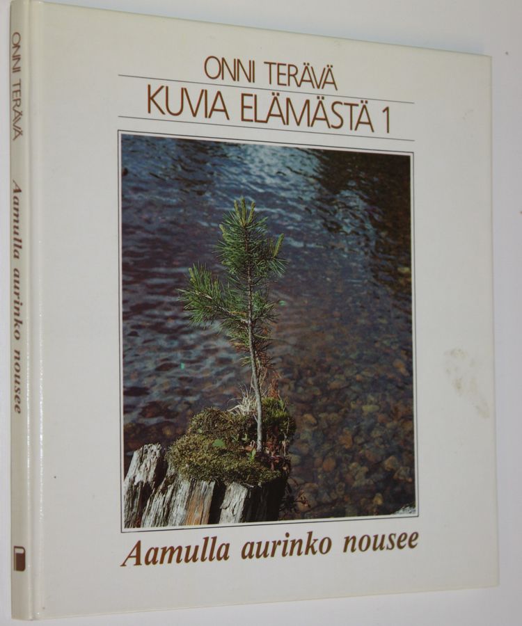 Onni Terävä : Kuvia elämästä 1, Aamulla aurinko nousee