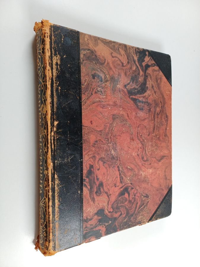 Edvard Richter : Värien mestareita : 50 värillistä taidepainojäljennöstä Europan uusimmasta maalaustaiteesta