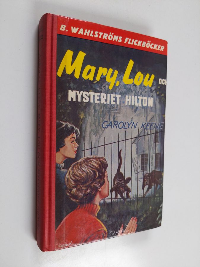 Mary, Lou och mysteriet Hilton