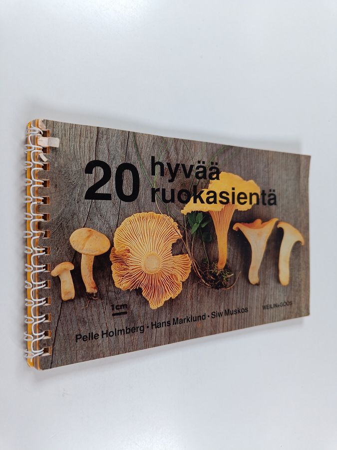 20 hyvää ruokasientä