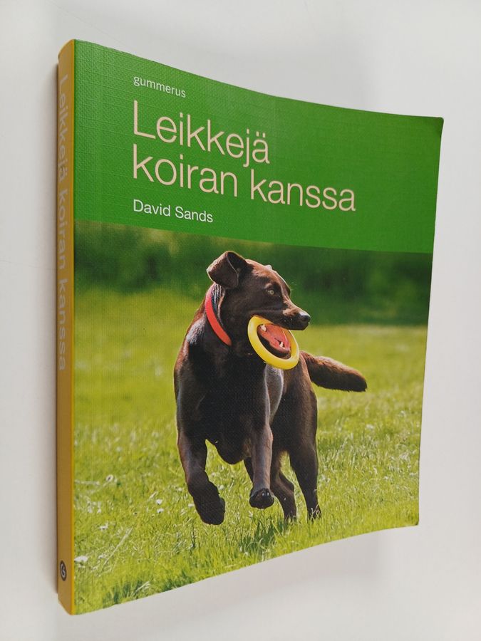 Leikkejä koiran kanssa