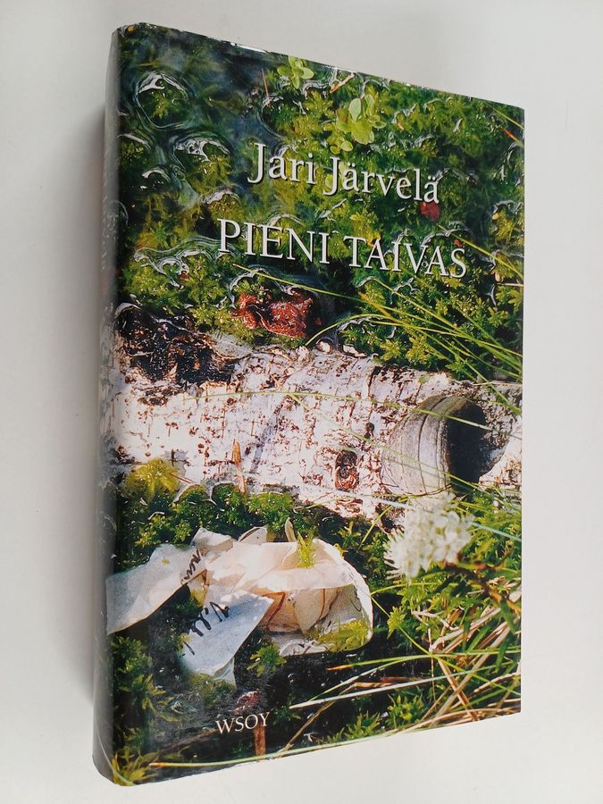 Pieni taivas
