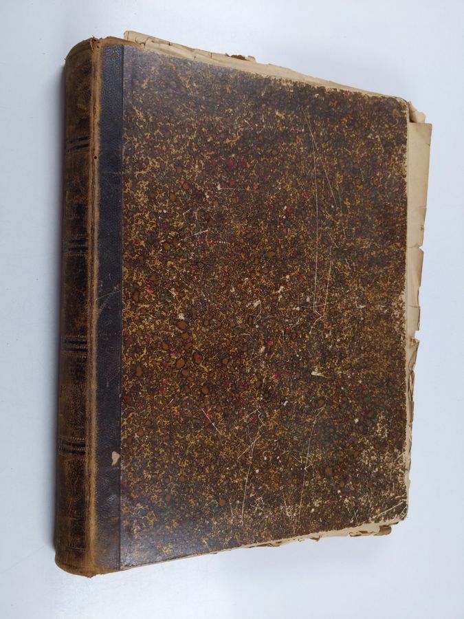 Allers Familj-Journal 1893