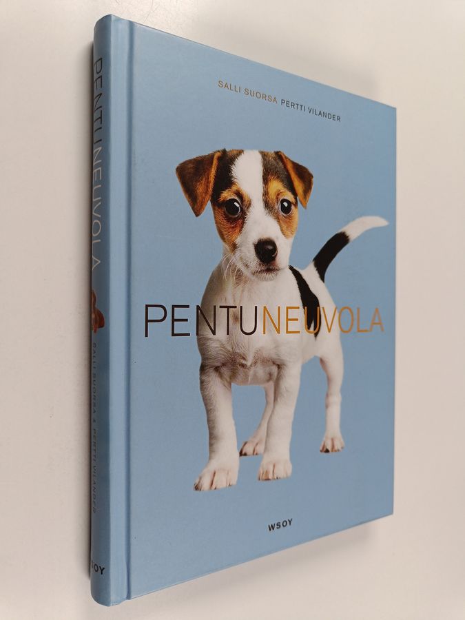 Pertti Vilander : Pentuneuvola