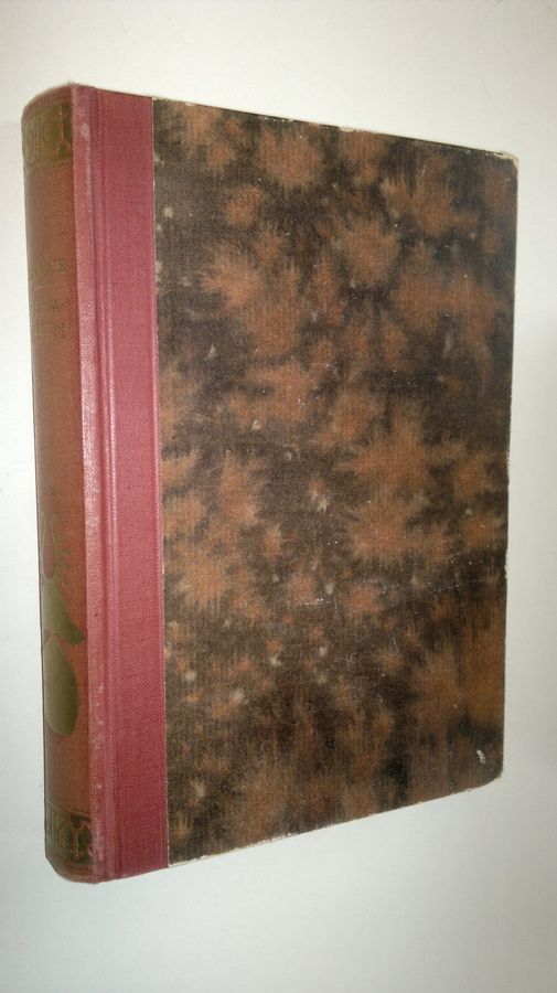 C. Georg Starbäck : Niilo Bonpoika Sture : kolmiosainen historiallinen romaani 3, Testamentti