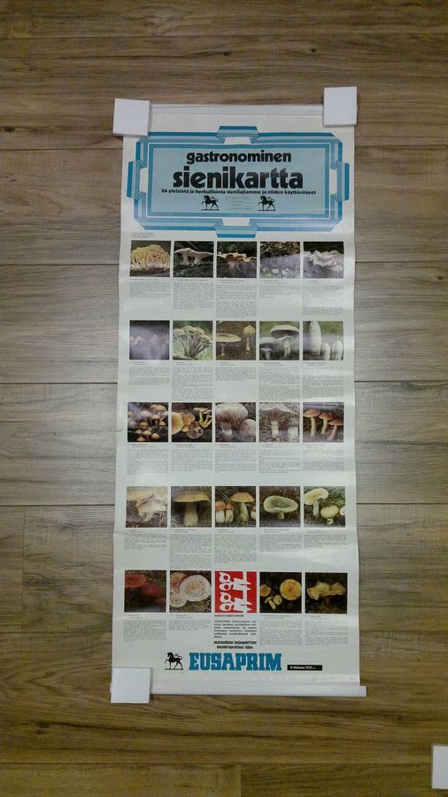 Gastronominen sienikartta - 24 yleisintä sienilajiamme ja niiden käyttöohjeet