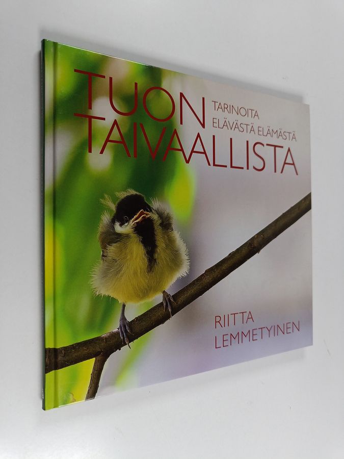 Riitta Lemmetyinen : Tuon taivaallista : tarinoita elävästä elämästä