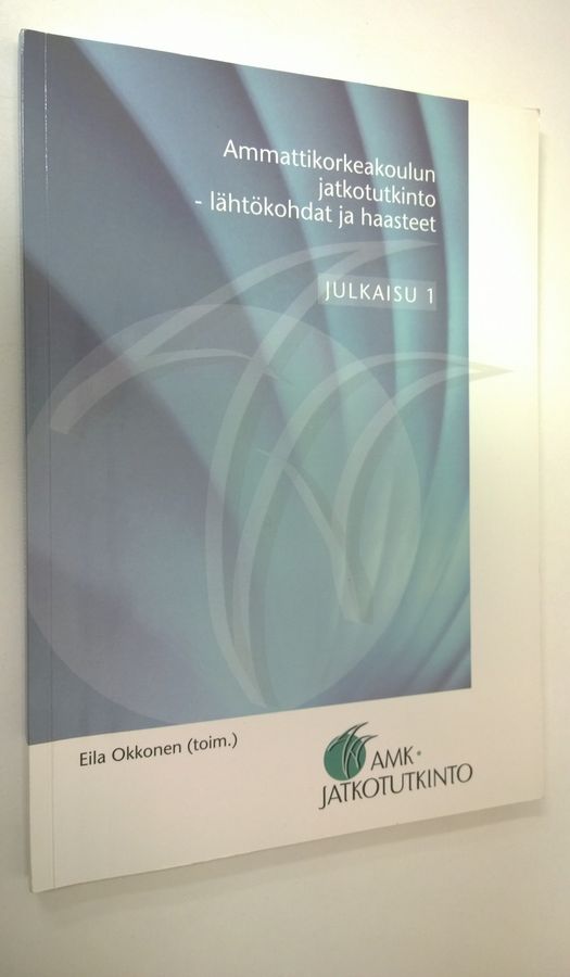 Ammattikorkeakoulun jatkotutkinto