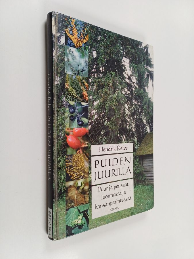 Puiden juurilla