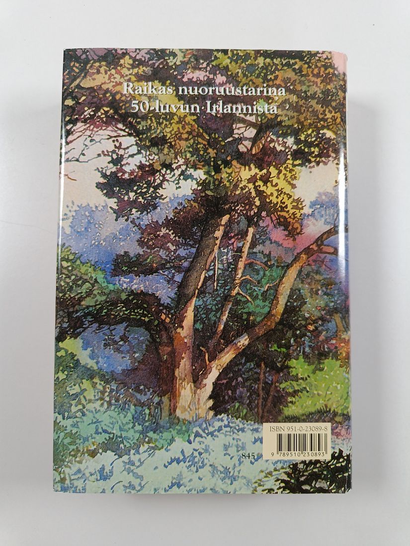 Maeve Binchy : Ystävyyden piiri