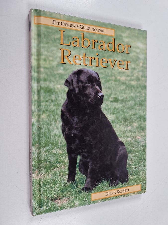 Labrador Retriever