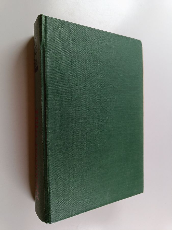 Hite-raportti