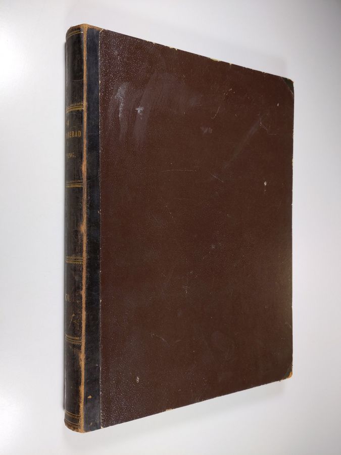 Ny illustrerad tidning vuosikerta 1876