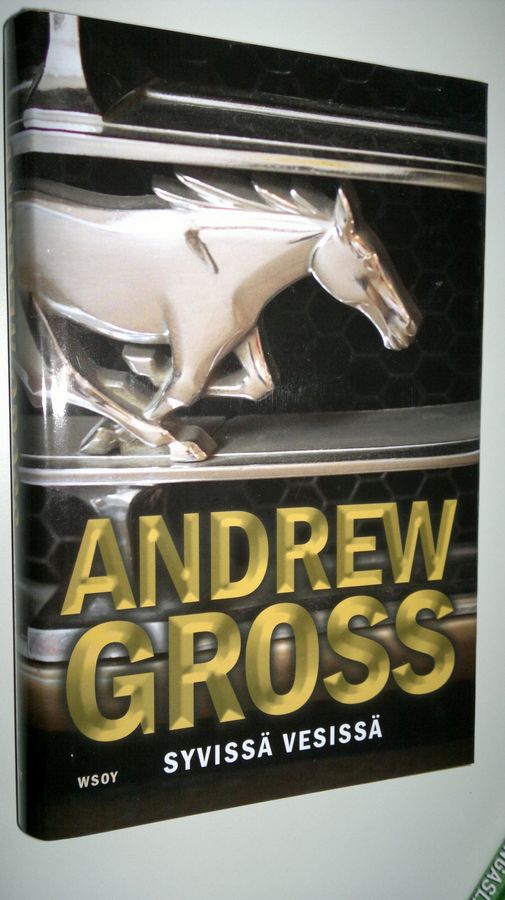 Andrew Gross : Syvissä vesissä