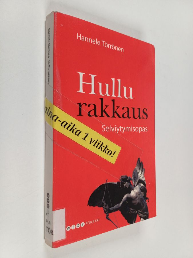 Hullu rakkaus