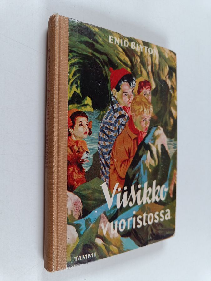 Enid Blyton : Viisikko vuoristossa