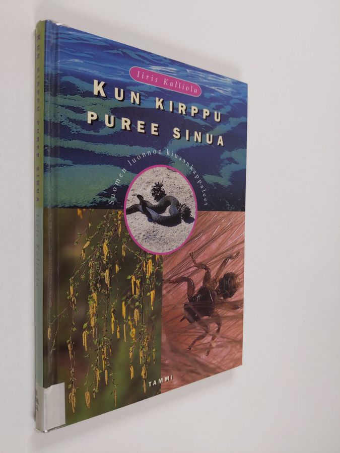 Kun kirppu puree sinua