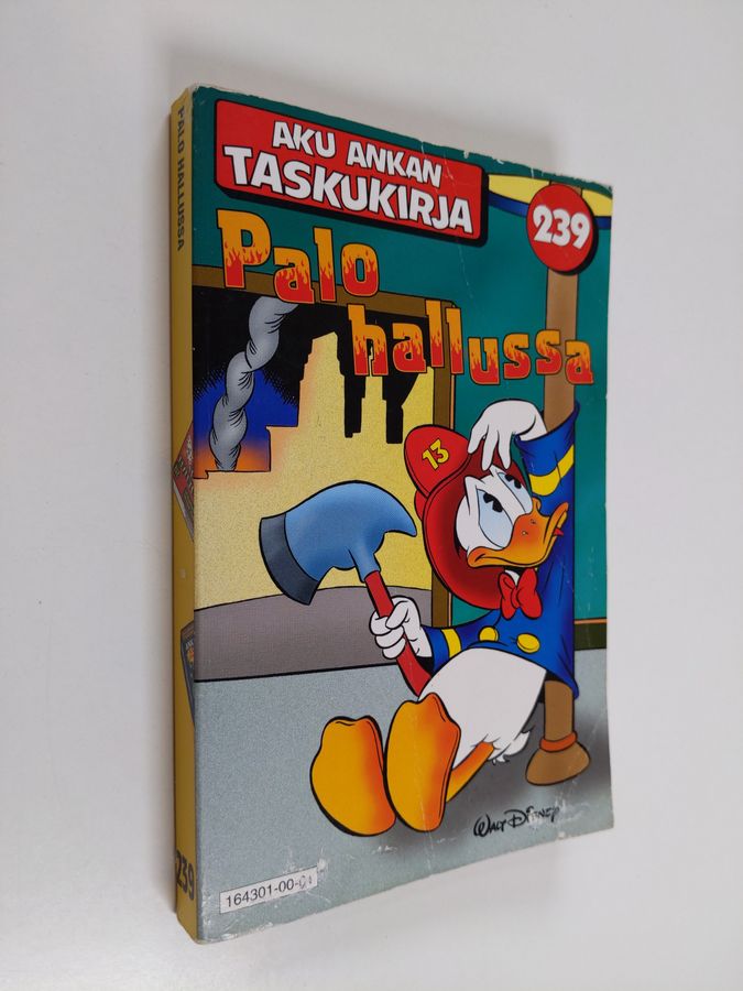 Palo hallussa